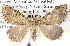  ( - BIOUG11881-B06)  @14 [ ] CreativeCommons - Attribution (2014) CBG Photography Group Centre for Biodiversity Genomics