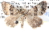  ( - BIOUG11881-B07)  @14 [ ] CreativeCommons - Attribution (2014) CBG Photography Group Centre for Biodiversity Genomics
