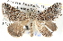  ( - BIOUG11881-B10)  @15 [ ] CreativeCommons - Attribution (2014) CBG Photography Group Centre for Biodiversity Genomics