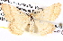  ( - BIOUG11881-C07)  @13 [ ] CreativeCommons - Attribution (2014) CBG Photography Group Centre for Biodiversity Genomics
