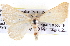  ( - BIOUG11881-E10)  @11 [ ] CreativeCommons - Attribution (2014) CBG Photography Group Centre for Biodiversity Genomics