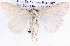  ( - BIOUG11881-E12)  @13 [ ] CreativeCommons - Attribution (2014) CBG Photography Group Centre for Biodiversity Genomics