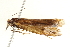  ( - BIOUG12056-G03)  @12 [ ] CreativeCommons - Attribution (2014) CBG Photography Group Centre for Biodiversity Genomics