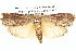  ( - BIOUG12057-A11)  @13 [ ] CreativeCommons - Attribution (2014) CBG Photography Group Centre for Biodiversity Genomics