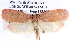  ( - BIOUG12057-D03)  @11 [ ] CreativeCommons - Attribution (2014) CBG Photography Group Centre for Biodiversity Genomics