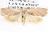  ( - BIOUG12057-D06)  @14 [ ] CreativeCommons - Attribution (2014) CBG Photography Group Centre for Biodiversity Genomics