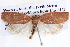  ( - BIOUG12057-D11)  @12 [ ] CreativeCommons - Attribution (2014) CBG Photography Group Centre for Biodiversity Genomics