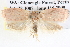  ( - BIOUG12057-E04)  @12 [ ] CreativeCommons - Attribution (2014) CBG Photography Group Centre for Biodiversity Genomics