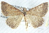  ( - BIOUG12058-D08)  @14 [ ] CreativeCommons - Attribution (2014) CBG Photography Group Centre for Biodiversity Genomics