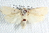  ( - BIOUG12058-H01)  @13 [ ] CreativeCommons - Attribution (2014) CBG Photography Group Centre for Biodiversity Genomics