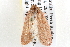  ( - BIOUG12059-B07)  @12 [ ] CreativeCommons - Attribution (2014) CBG Photography Group Centre for Biodiversity Genomics