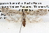  ( - BIOUG12059-B10)  @14 [ ] CreativeCommons - Attribution (2014) CBG Photography Group Centre for Biodiversity Genomics