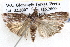  ( - BIOUG12059-C04)  @11 [ ] CreativeCommons - Attribution (2014) CBG Photography Group Centre for Biodiversity Genomics