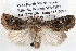 ( - BIOUG12059-C08)  @14 [ ] CreativeCommons - Attribution (2014) CBG Photography Group Centre for Biodiversity Genomics
