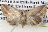  ( - BIOUG12059-H01)  @13 [ ] CreativeCommons - Attribution (2014) CBG Photography Group Centre for Biodiversity Genomics