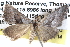  ( - BIOUG12059-H03)  @14 [ ] CreativeCommons - Attribution (2014) CBG Photography Group Centre for Biodiversity Genomics