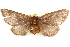  ( - BIOUG12060-B01)  @14 [ ] CreativeCommons - Attribution (2014) CBG Photography Group Centre for Biodiversity Genomics