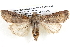  ( - BIOUG12060-D05)  @14 [ ] CreativeCommons - Attribution (2014) CBG Photography Group Centre for Biodiversity Genomics