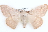  ( - BIOUG12060-E01)  @14 [ ] CreativeCommons - Attribution (2014) CBG Photography Group Centre for Biodiversity Genomics