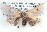 ( - BIOUG12061-A01)  @13 [ ] CreativeCommons - Attribution (2014) CBG Photography Group Centre for Biodiversity Genomics