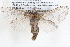  ( - BIOUG12061-B03)  @14 [ ] CreativeCommons - Attribution (2014) CBG Photography Group Centre for Biodiversity Genomics