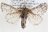  ( - BIOUG12061-B08)  @15 [ ] CreativeCommons - Attribution (2014) CBG Photography Group Centre for Biodiversity Genomics
