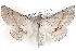  ( - BIOUG12061-G03)  @14 [ ] CreativeCommons - Attribution (2014) CBG Photography Group Centre for Biodiversity Genomics
