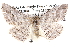  ( - BIOUG12061-G11)  @14 [ ] CreativeCommons - Attribution (2014) CBG Photography Group Centre for Biodiversity Genomics