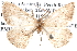  ( - BIOUG12061-H03)  @13 [ ] CreativeCommons - Attribution (2014) CBG Photography Group Centre for Biodiversity Genomics