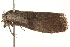 ( - BIOUG13741-A07)  @12 [ ] CreativeCommons - Attribution (2014) CBG Photography Group Centre for Biodiversity Genomics