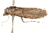  ( - BIOUG13741-E06)  @12 [ ] CreativeCommons - Attribution (2014) CBG Photography Group Centre for Biodiversity Genomics