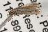  ( - BIOUG13742-A02)  @12 [ ] CreativeCommons - Attribution (2014) CBG Photography Group Centre for Biodiversity Genomics