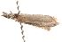  ( - BIOUG13742-H03)  @12 [ ] CreativeCommons - Attribution (2014) CBG Photography Group Centre for Biodiversity Genomics