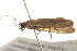  ( - BIOUG13743-B11)  @13 [ ] CreativeCommons - Attribution (2014) CBG Photography Group Centre for Biodiversity Genomics