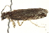 ( - BIOUG13743-B12)  @12 [ ] CreativeCommons - Attribution (2014) CBG Photography Group Centre for Biodiversity Genomics