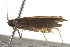  ( - BIOUG13743-D02)  @12 [ ] CreativeCommons - Attribution (2014) CBG Photography Group Centre for Biodiversity Genomics