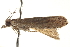  ( - BIOUG13743-D06)  @13 [ ] CreativeCommons - Attribution (2014) CBG Photography Group Centre for Biodiversity Genomics