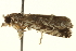  ( - BIOUG13743-H01)  @12 [ ] CreativeCommons - Attribution (2014) CBG Photography Group Centre for Biodiversity Genomics