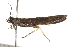  ( - BIOUG13744-A05)  @12 [ ] CreativeCommons - Attribution (2014) CBG Photography Group Centre for Biodiversity Genomics