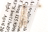  ( - BIOUG13744-D12)  @12 [ ] CreativeCommons - Attribution (2014) CBG Photography Group Centre for Biodiversity Genomics