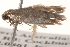  ( - BIOUG13744-G11)  @12 [ ] CreativeCommons - Attribution (2014) CBG Photography Group Centre for Biodiversity Genomics