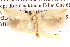  ( - BIOUG13744-H09)  @14 [ ] CreativeCommons - Attribution (2014) CBG Photography Group Centre for Biodiversity Genomics