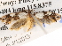  ( - BIOUG13745-B10)  @15 [ ] CreativeCommons - Attribution (2014) CBG Photography Group Centre for Biodiversity Genomics