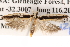  ( - BIOUG13745-C10)  @13 [ ] CreativeCommons - Attribution (2014) CBG Photography Group Centre for Biodiversity Genomics