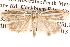  ( - BIOUG13745-E04)  @12 [ ] CreativeCommons - Attribution (2014) CBG Photography Group Centre for Biodiversity Genomics