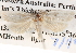  ( - BIOUG13745-F07)  @12 [ ] CreativeCommons - Attribution (2014) CBG Photography Group Centre for Biodiversity Genomics