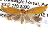  ( - BIOUG13745-G01)  @12 [ ] CreativeCommons - Attribution (2014) CBG Photography Group Centre for Biodiversity Genomics