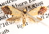  ( - BIOUG13745-G02)  @14 [ ] CreativeCommons - Attribution (2014) CBG Photography Group Centre for Biodiversity Genomics
