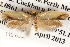  ( - BIOUG13745-H05)  @12 [ ] CreativeCommons - Attribution (2014) CBG Photography Group Centre for Biodiversity Genomics