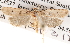  ( - BIOUG13746-A08)  @13 [ ] CreativeCommons - Attribution (2014) CBG Photography Group Centre for Biodiversity Genomics